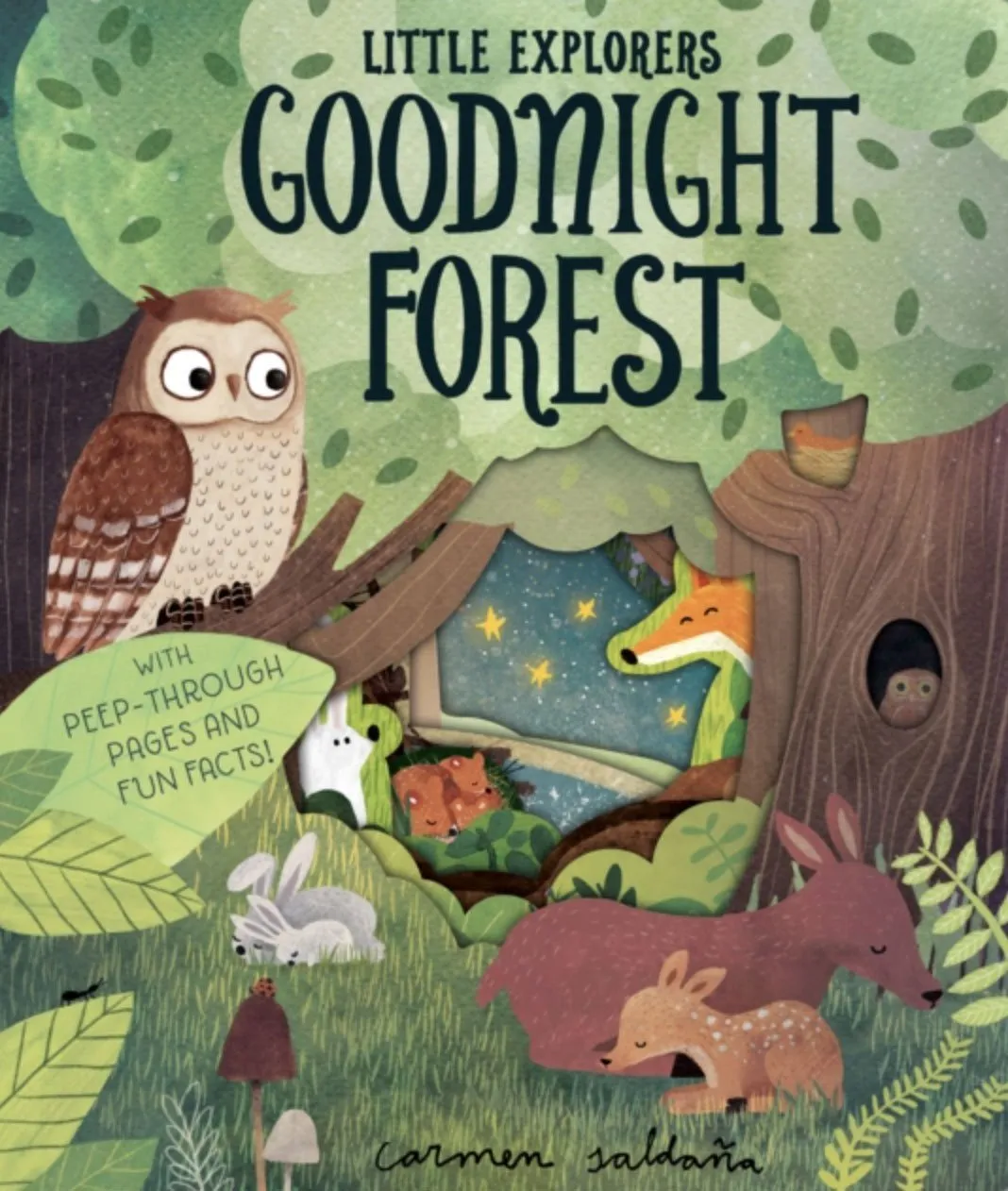 Goodnight Forest Story Sack with Lanka Kade