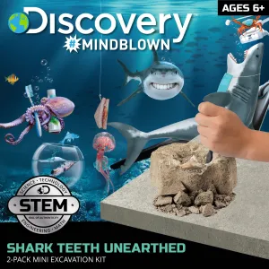 Shark Teeth Unearthed