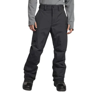 The North Face Freedom Insulated Pant 2024 - Men's